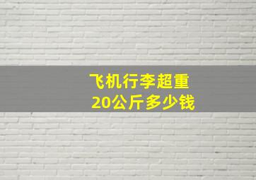 飞机行李超重20公斤多少钱