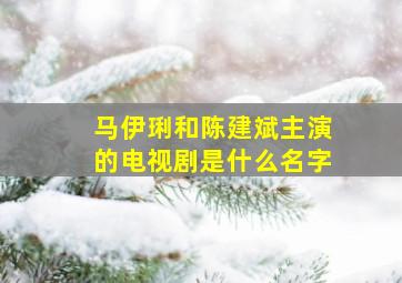 马伊琍和陈建斌主演的电视剧是什么名字