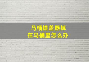 马桶提盖器掉在马桶里怎么办