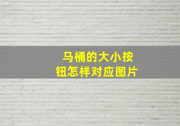 马桶的大小按钮怎样对应图片