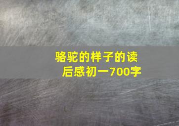 骆驼的样子的读后感初一700字