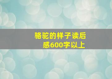 骆驼的样子读后感600字以上