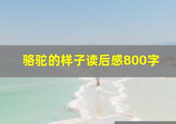 骆驼的样子读后感800字