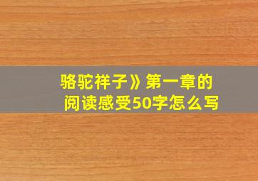 骆驼祥子》第一章的阅读感受50字怎么写