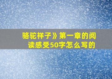 骆驼祥子》第一章的阅读感受50字怎么写的