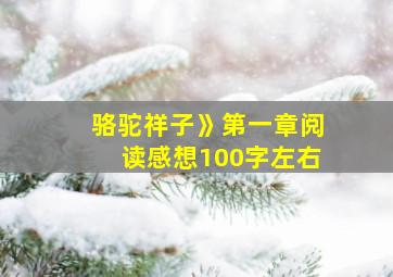 骆驼祥子》第一章阅读感想100字左右