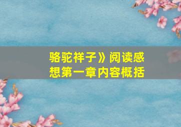 骆驼祥子》阅读感想第一章内容概括