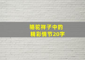 骆驼祥子中的精彩情节20字