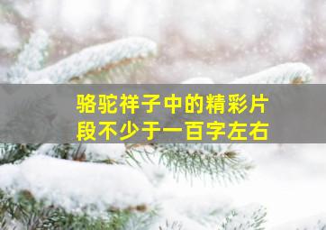 骆驼祥子中的精彩片段不少于一百字左右