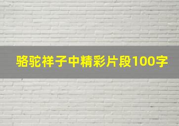 骆驼祥子中精彩片段100字