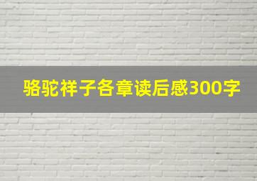 骆驼祥子各章读后感300字