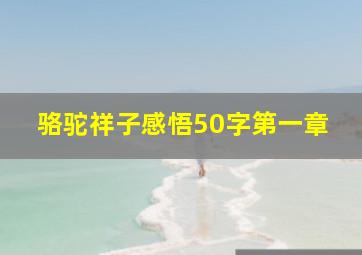 骆驼祥子感悟50字第一章