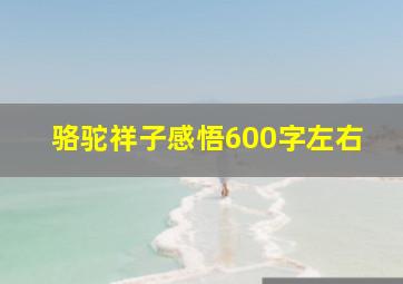 骆驼祥子感悟600字左右