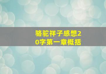 骆驼祥子感想20字第一章概括