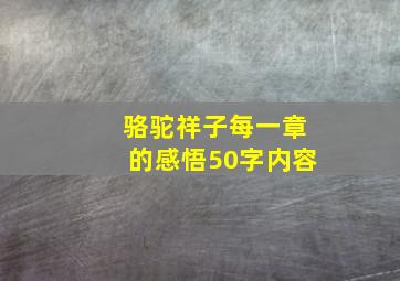 骆驼祥子每一章的感悟50字内容