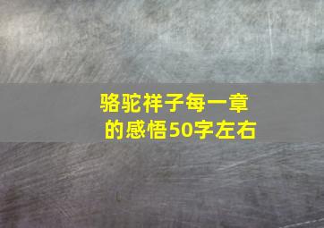 骆驼祥子每一章的感悟50字左右