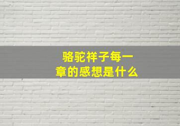 骆驼祥子每一章的感想是什么