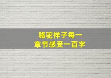 骆驼祥子每一章节感受一百字