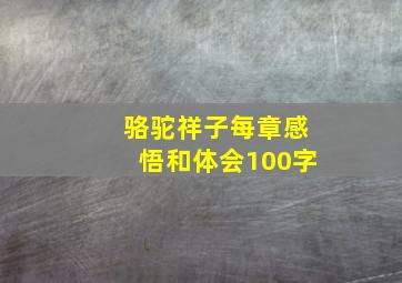 骆驼祥子每章感悟和体会100字