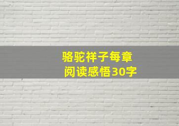 骆驼祥子每章阅读感悟30字