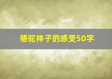 骆驼祥子的感受50字