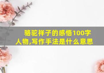 骆驼祥子的感悟100字人物,写作手法是什么意思