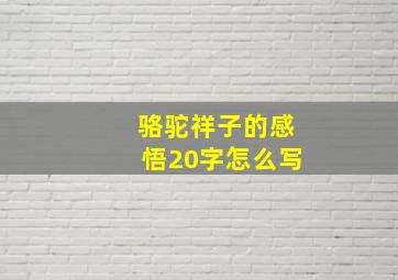 骆驼祥子的感悟20字怎么写