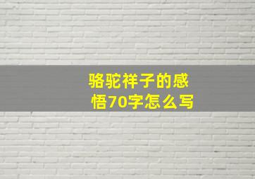 骆驼祥子的感悟70字怎么写