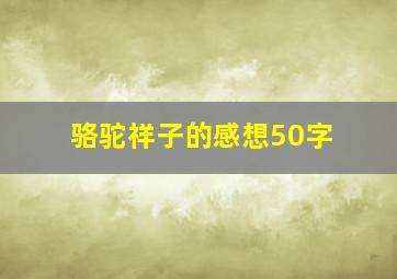 骆驼祥子的感想50字