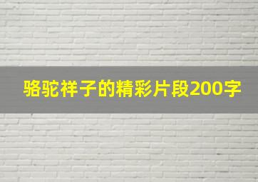 骆驼祥子的精彩片段200字