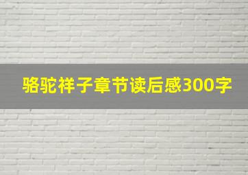 骆驼祥子章节读后感300字