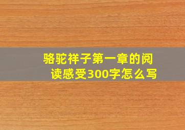 骆驼祥子第一章的阅读感受300字怎么写