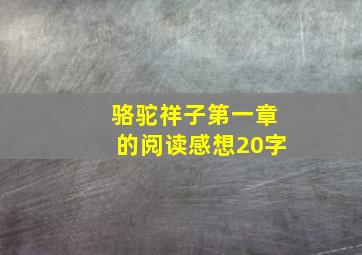 骆驼祥子第一章的阅读感想20字