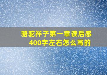 骆驼祥子第一章读后感400字左右怎么写的