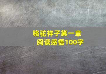 骆驼祥子第一章阅读感悟100字