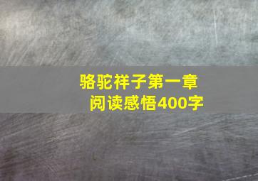 骆驼祥子第一章阅读感悟400字