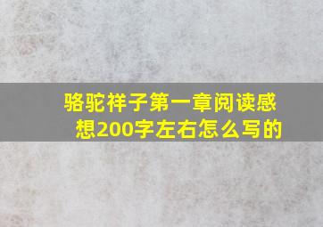 骆驼祥子第一章阅读感想200字左右怎么写的