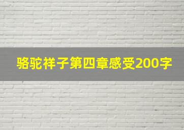 骆驼祥子第四章感受200字