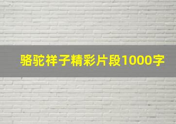 骆驼祥子精彩片段1000字