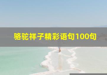 骆驼祥子精彩语句100句