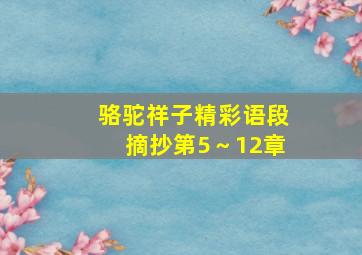 骆驼祥子精彩语段摘抄第5～12章