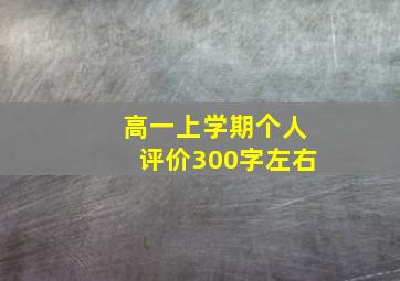 高一上学期个人评价300字左右