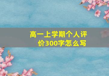 高一上学期个人评价300字怎么写