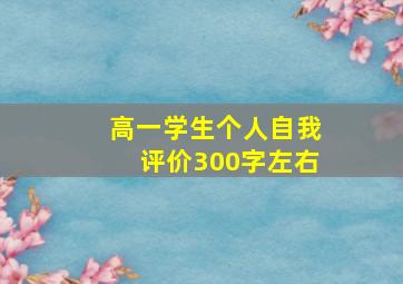 高一学生个人自我评价300字左右