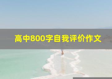 高中800字自我评价作文