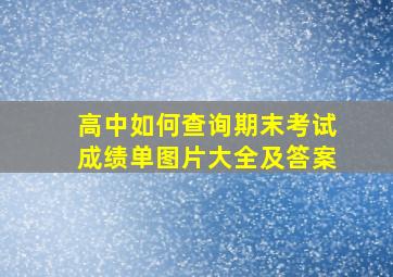 高中如何查询期末考试成绩单图片大全及答案