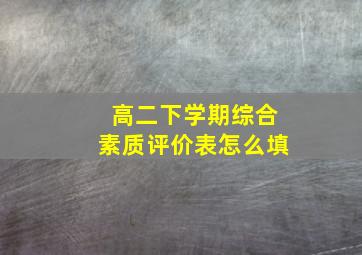 高二下学期综合素质评价表怎么填