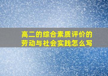 高二的综合素质评价的劳动与社会实践怎么写