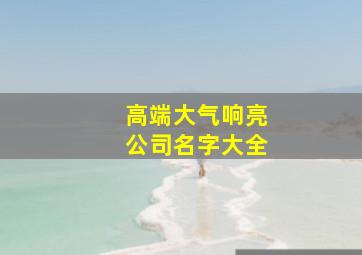 高端大气响亮公司名字大全