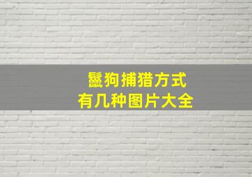 鬣狗捕猎方式有几种图片大全